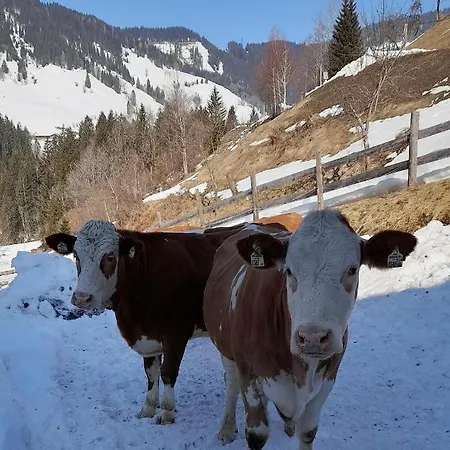 Casa vacanze Almhof Grub