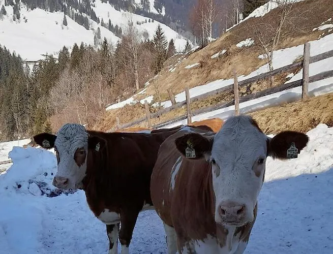 Сasa de vacaciones Almhof Grub